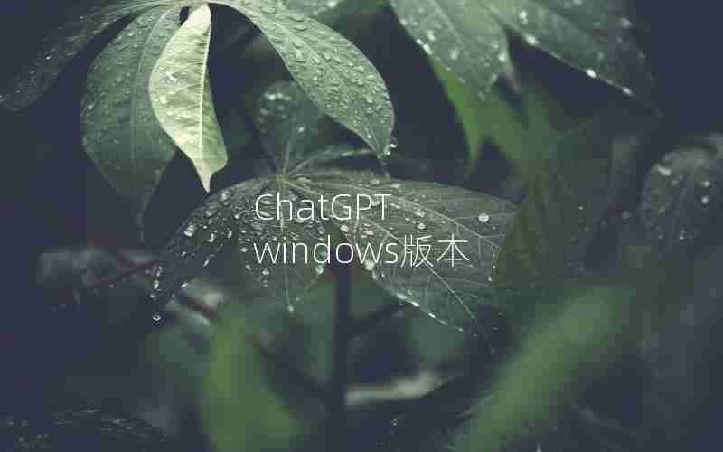 ChatGPT windows版本 ChatGPT windows版本
