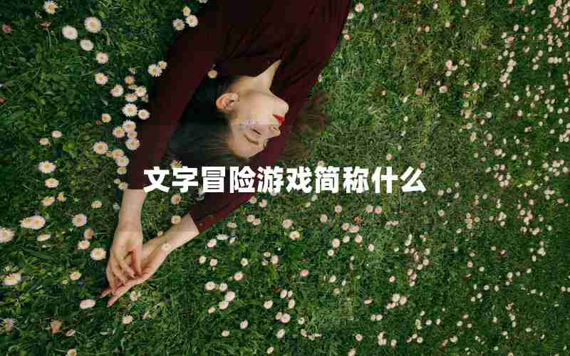 文字冒险游戏简称什么