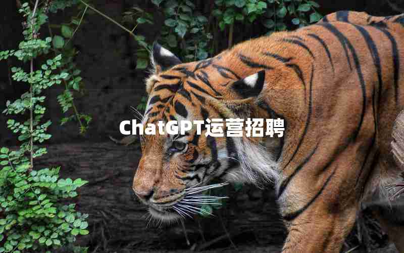 ChatGPT运营招聘