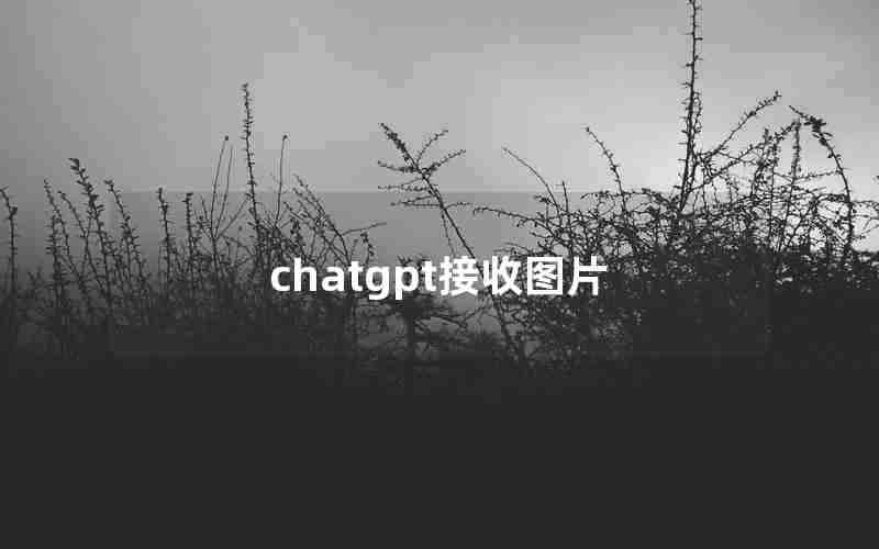 chatgpt接收图片 chatgpt接收图片