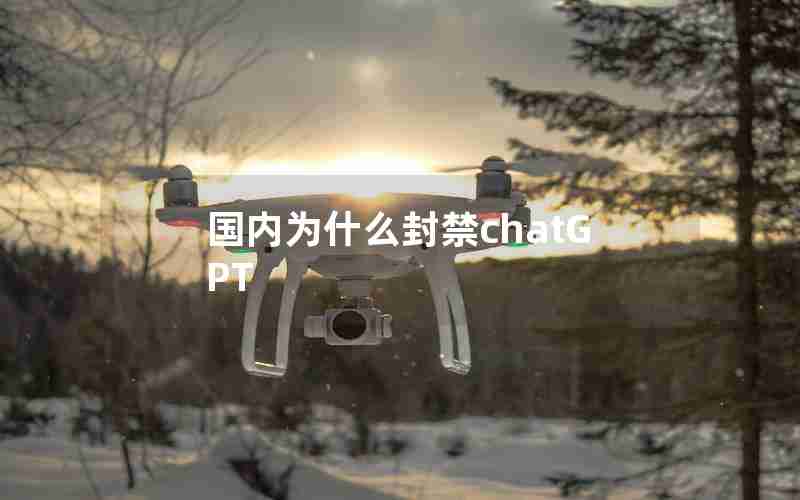 国内为什么封禁chatGPT 国内为什么封禁chatGPT