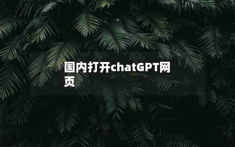 国内打开chatGPT网页