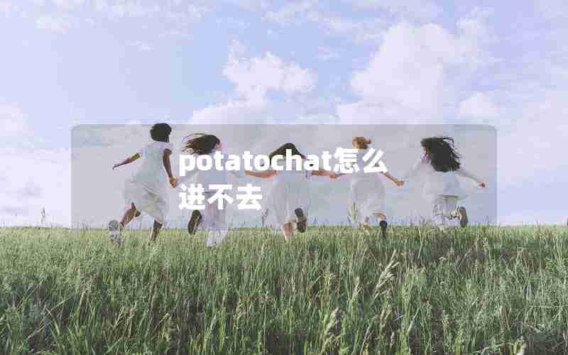 potatochat怎么进不去