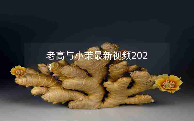 老高与小茉最新视频2023 老高与小茉最新视频2023