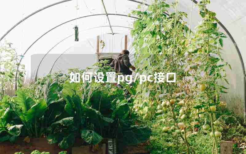 如何设置pg/pc接口