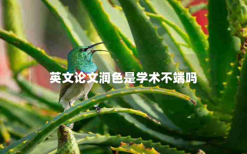 英文论文润色是学术不端吗 英文论文润色是学术不端吗