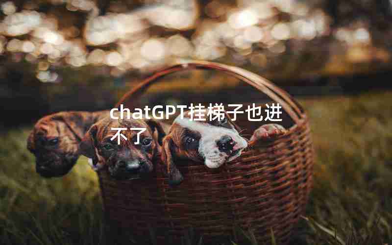 chatGPT挂梯子也进不了