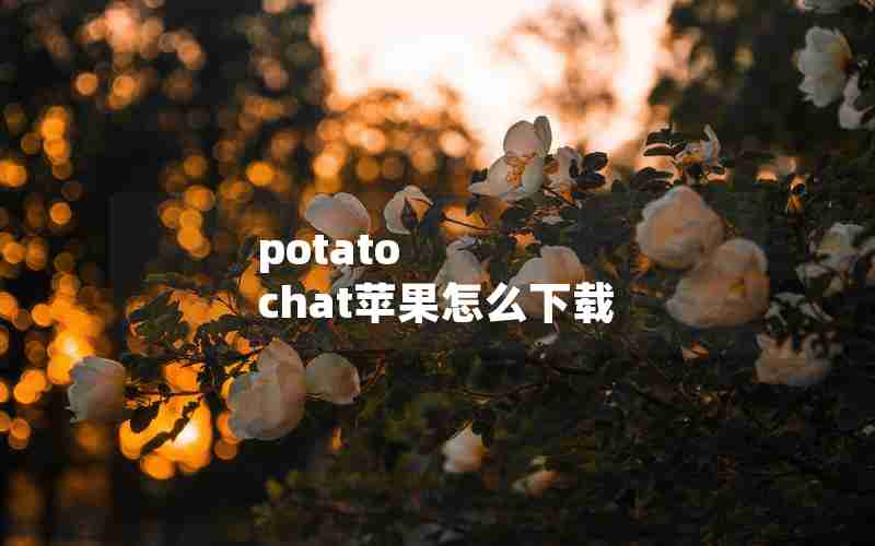 potato chat苹果怎么下载 potato chat苹果怎么下载