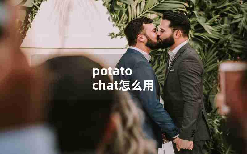 potato chat怎么用