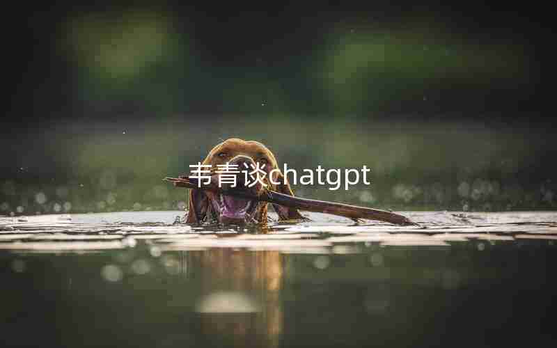 韦青谈chatgpt