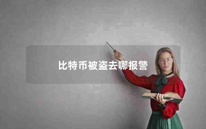 比特币被盗去哪报警 比特币被盗去哪报警