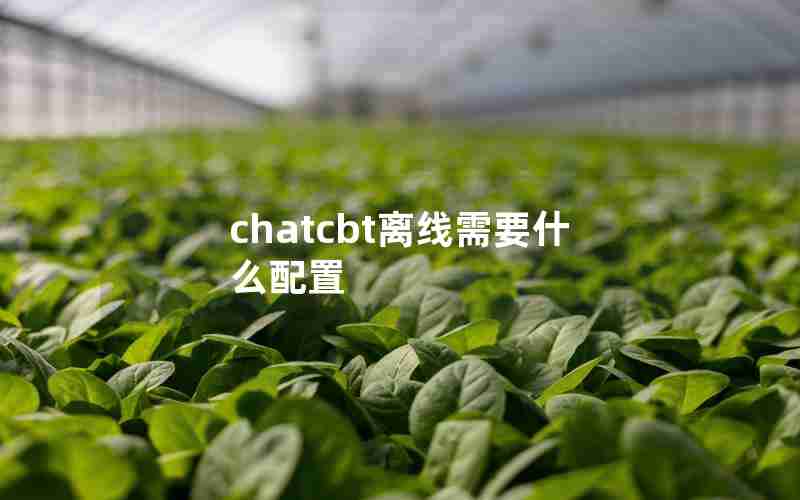chatcbt离线需要什么配置