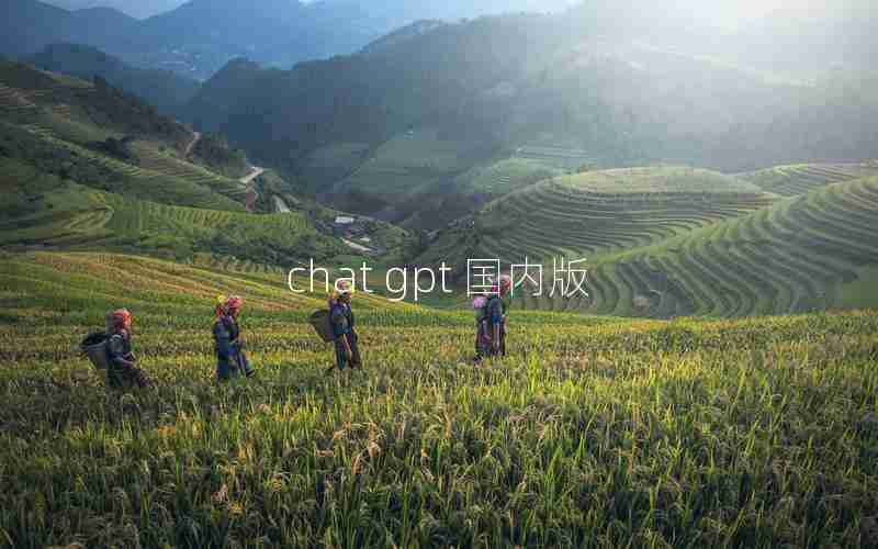 chat gpt 国内版 chat gpt 国内版