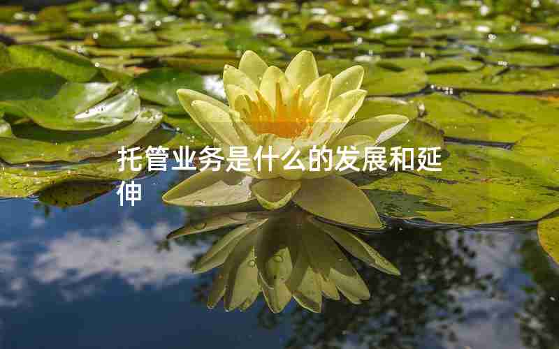 托管业务是什么的发展和延伸 托管业务是什么的发展和延伸