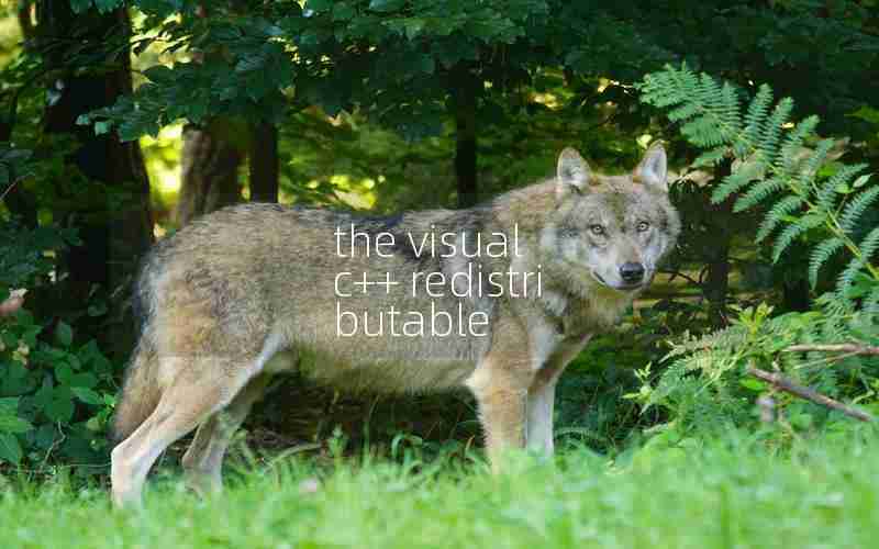 the visual c++ redistributable