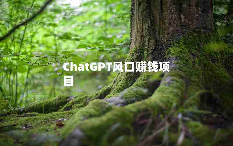 ChatGPT风口赚钱项目