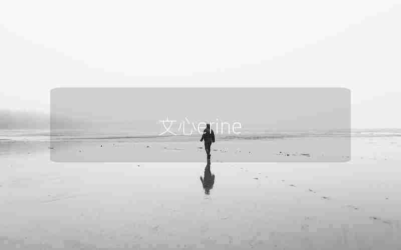 文心erine 文心erine