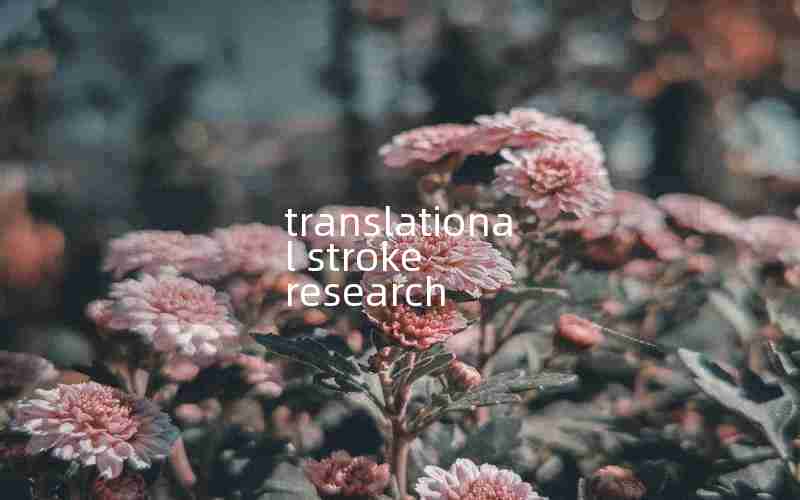 translational stroke research