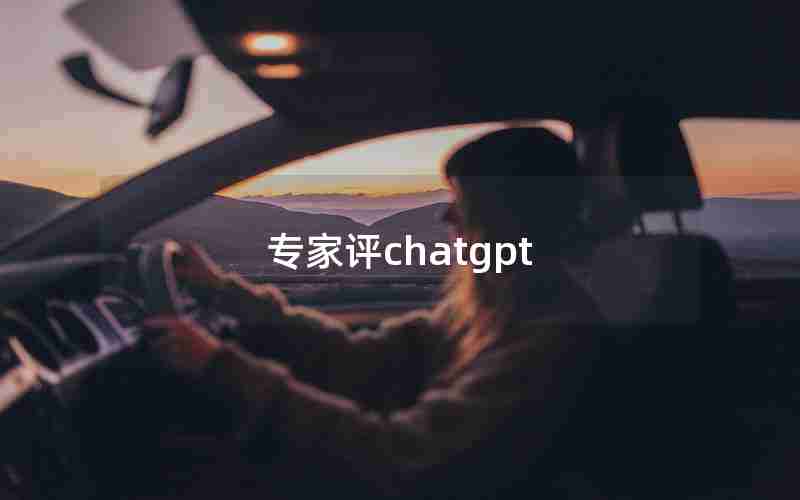 专家评chatgpt