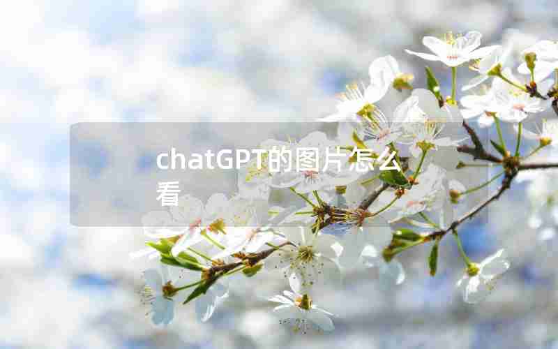 chatGPT的图片怎么看