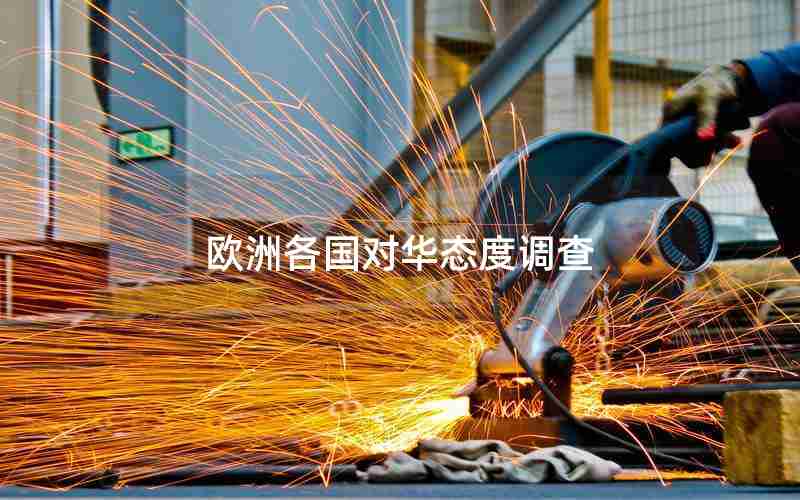 欧洲各国对华态度调查