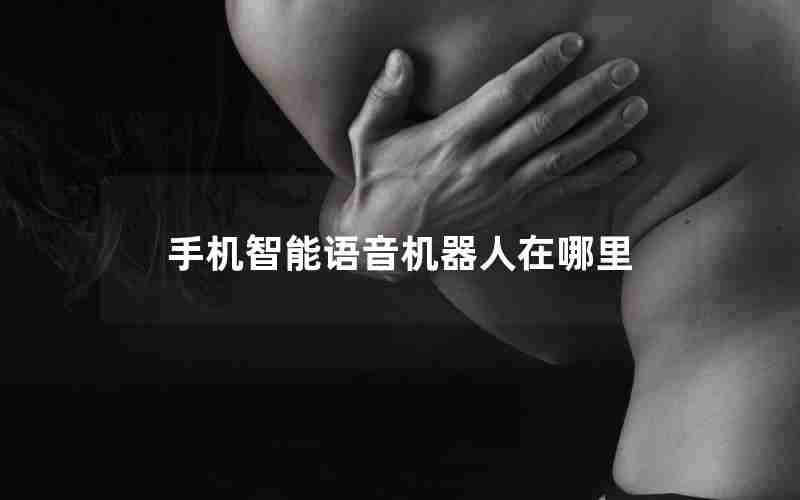 手机智能语音机器人在哪里 手机智能语音机器人在哪里