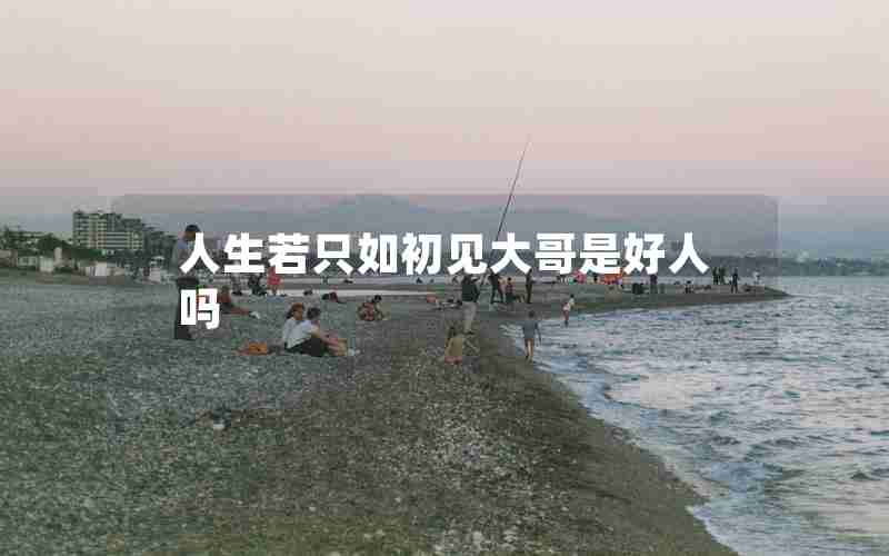 人生若只如初见大哥是好人吗 人生若只如初见大哥是好人吗