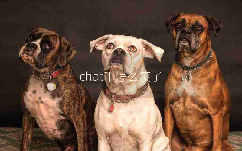 chat币怎么废了