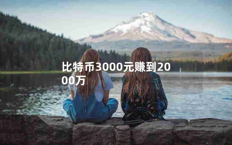 比特币3000元赚到2000万 比特币3000元赚到2000万