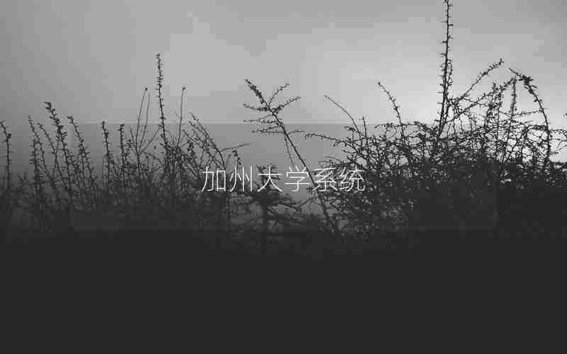 加州大学系统
