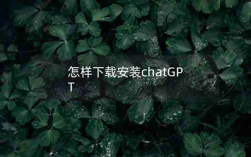 怎样下载安装chatGPT