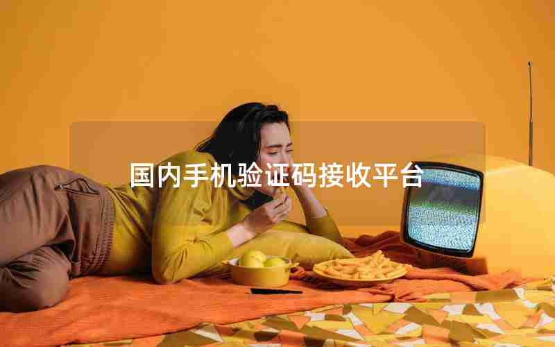 国内手机验证码接收平台