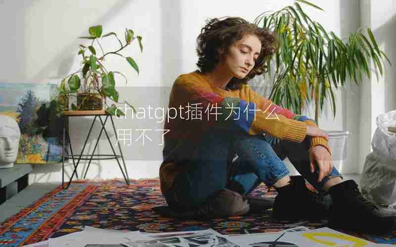 chatgpt插件为什么用不了