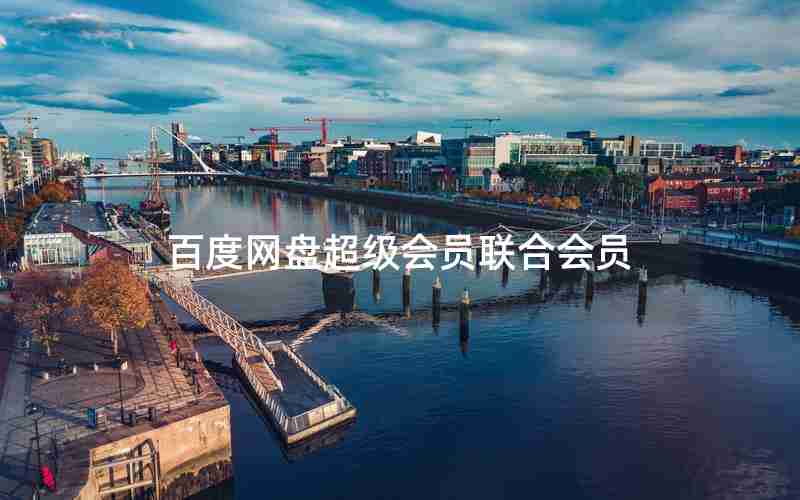 百度网盘超级会员联合会员