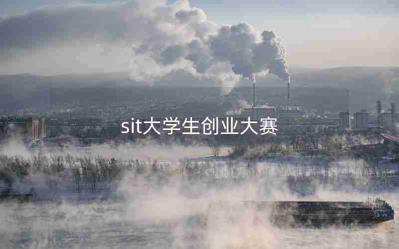 sit大学生创业大赛 sit大学生创业大赛