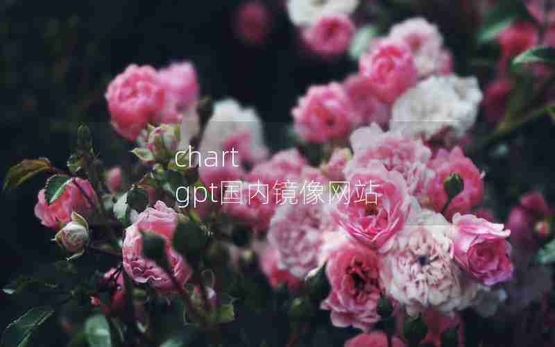 chart gpt国内镜像网站