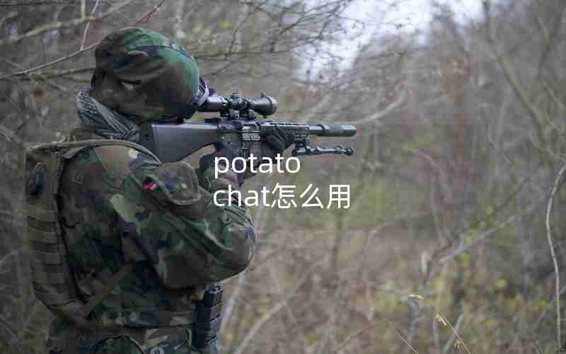 potato chat怎么用 potato chat怎么用