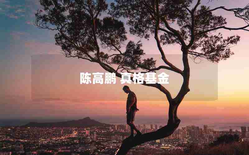 陈高鹏 真格基金