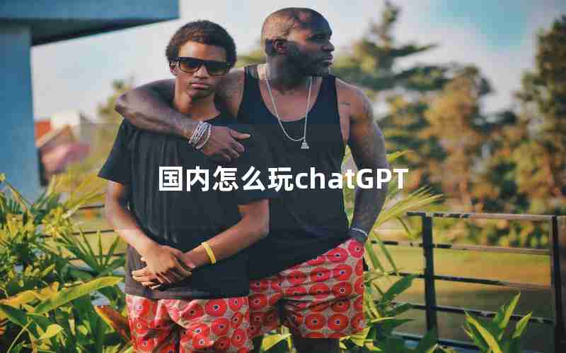 国内怎么玩chatGPT