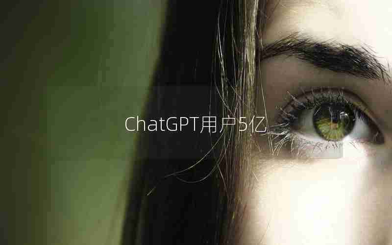 ChatGPT用户5亿 ChatGPT用户5亿