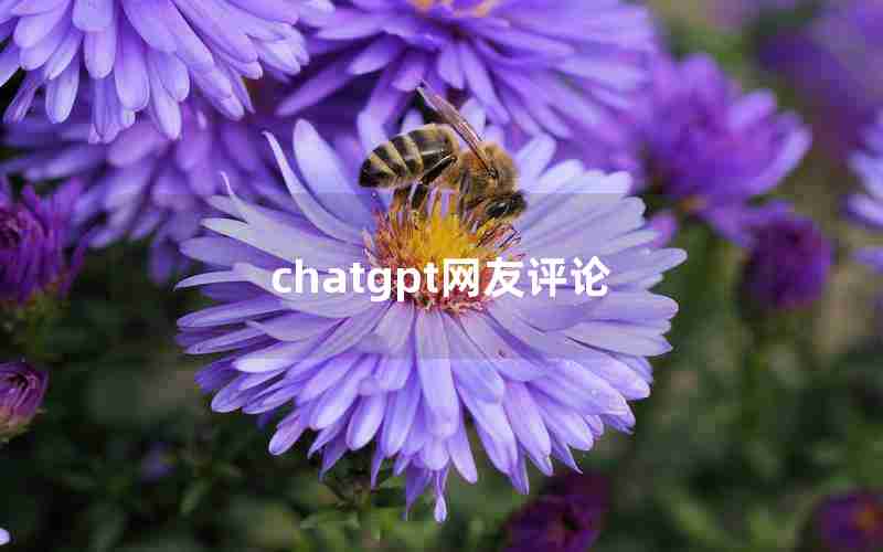 chatgpt网友评论 chatgpt网友评论