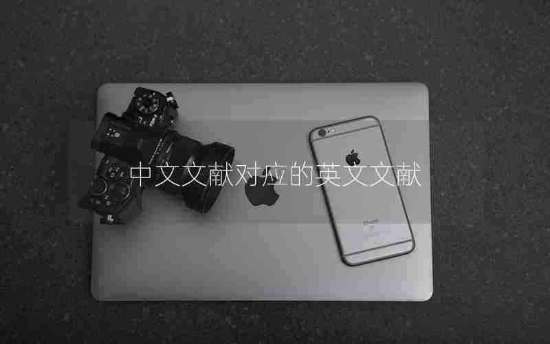 中文文献对应的英文文献
