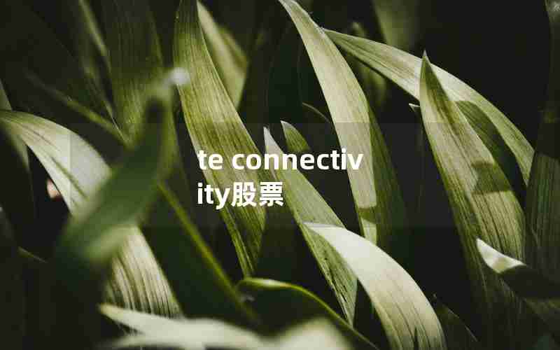 te connectivity股票