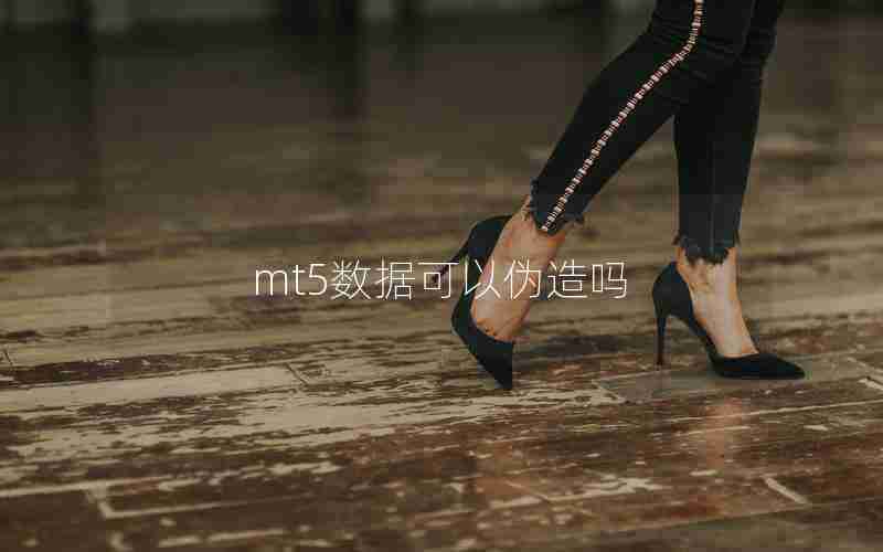 mt5数据可以伪造吗