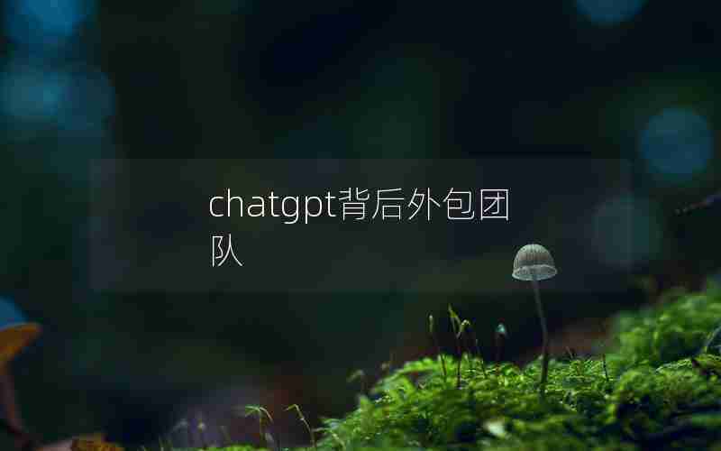 chatgpt背后外包团队
