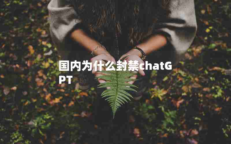国内为什么封禁chatGPT