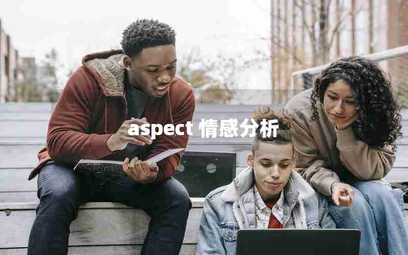 aspect 情感分析