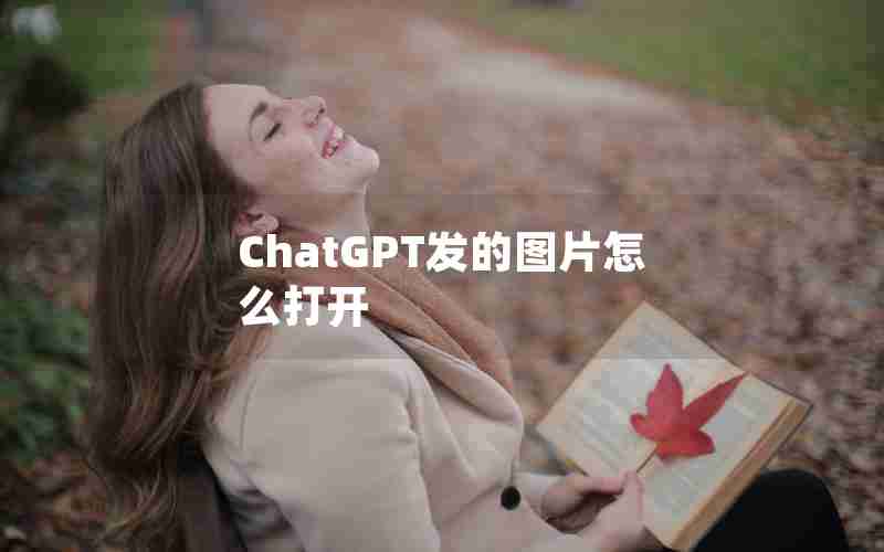 ChatGPT发的图片怎么打开 ChatGPT发的图片怎么打开