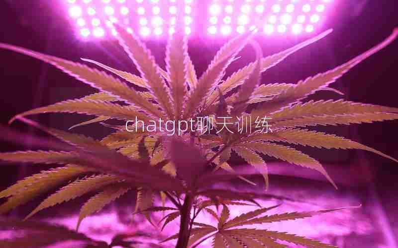 chatgpt聊天训练