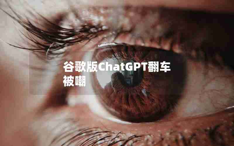 谷歌版ChatGPT翻车被嘲